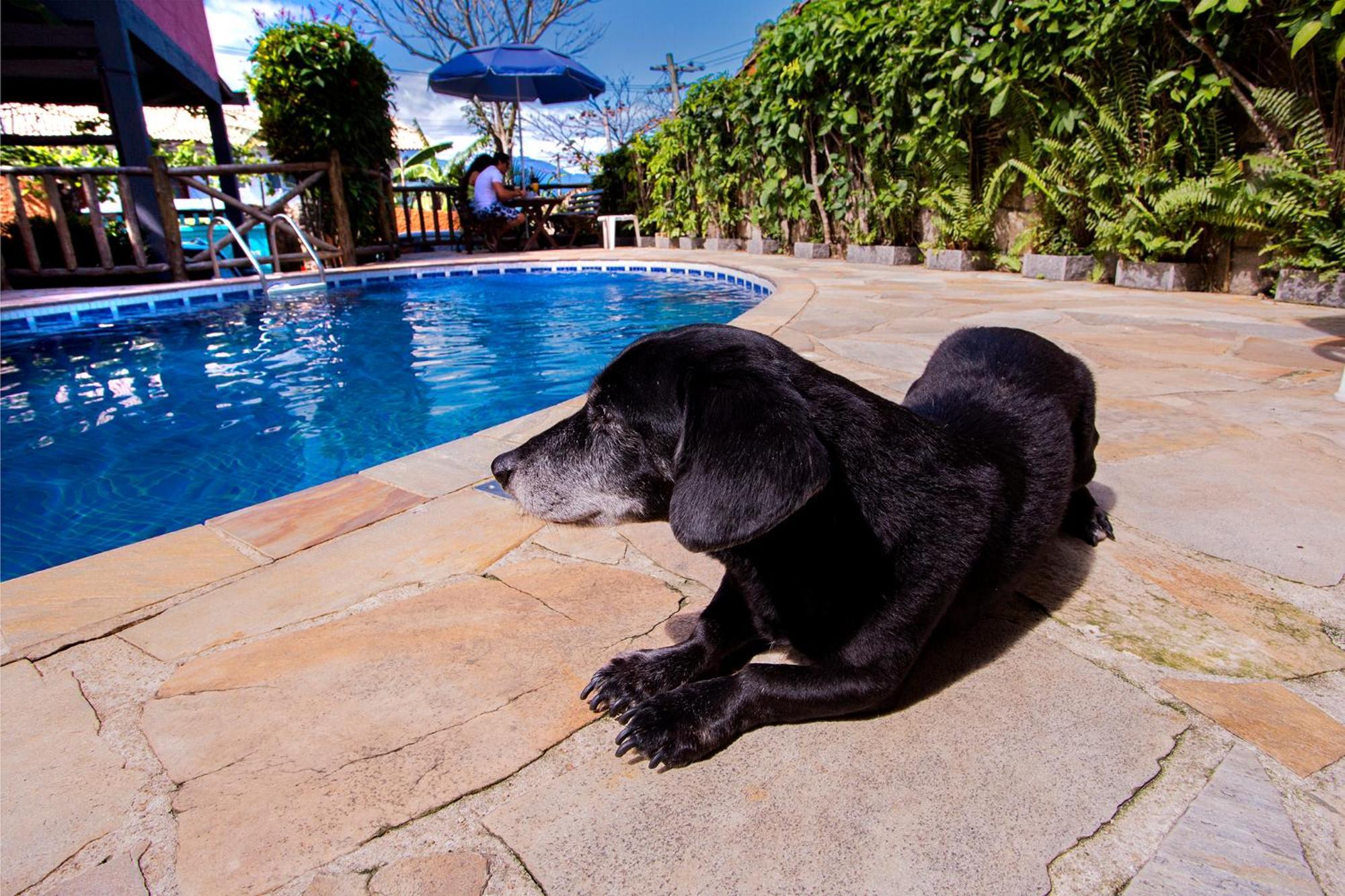 Pousada Recanto Da Villa Ilhabela Eksteriør bilde